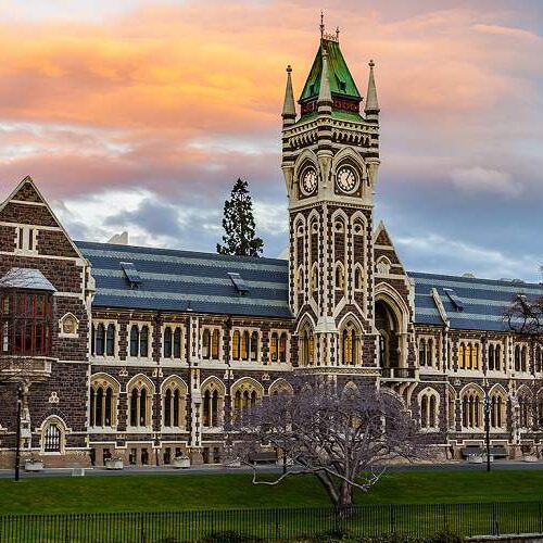 cheap universities in new zealand