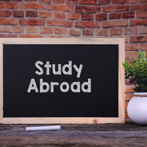 study abroad in Australia vs New Zealand