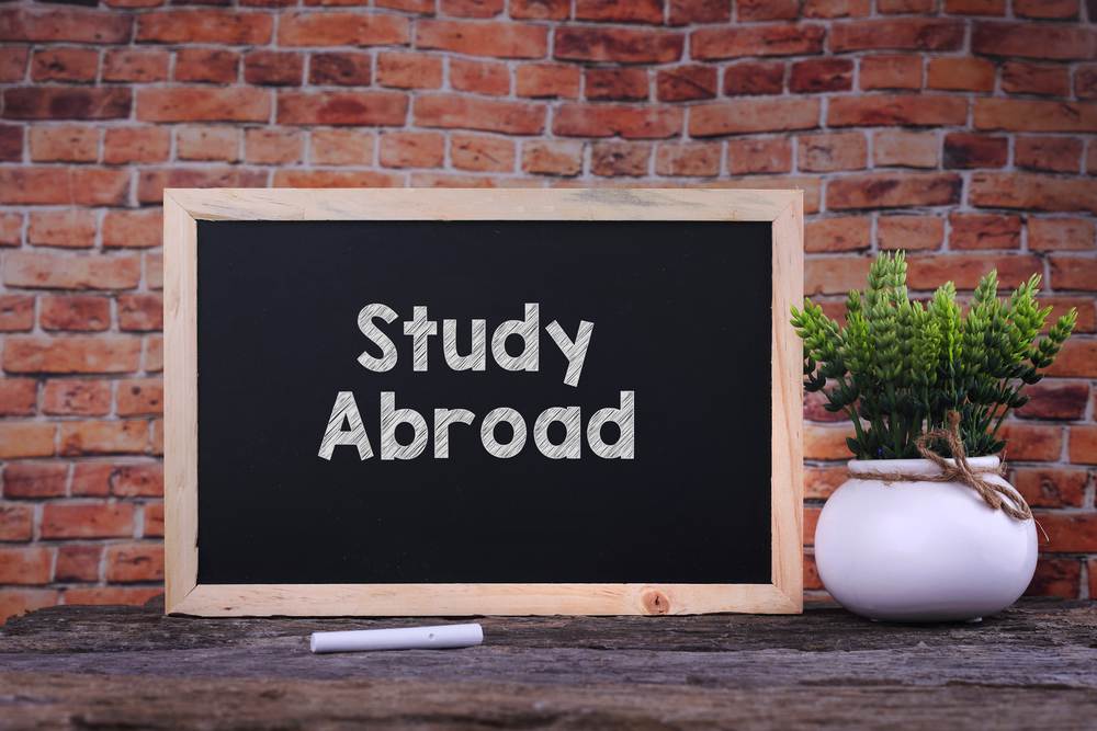 study abroad in Australia vs New Zealand