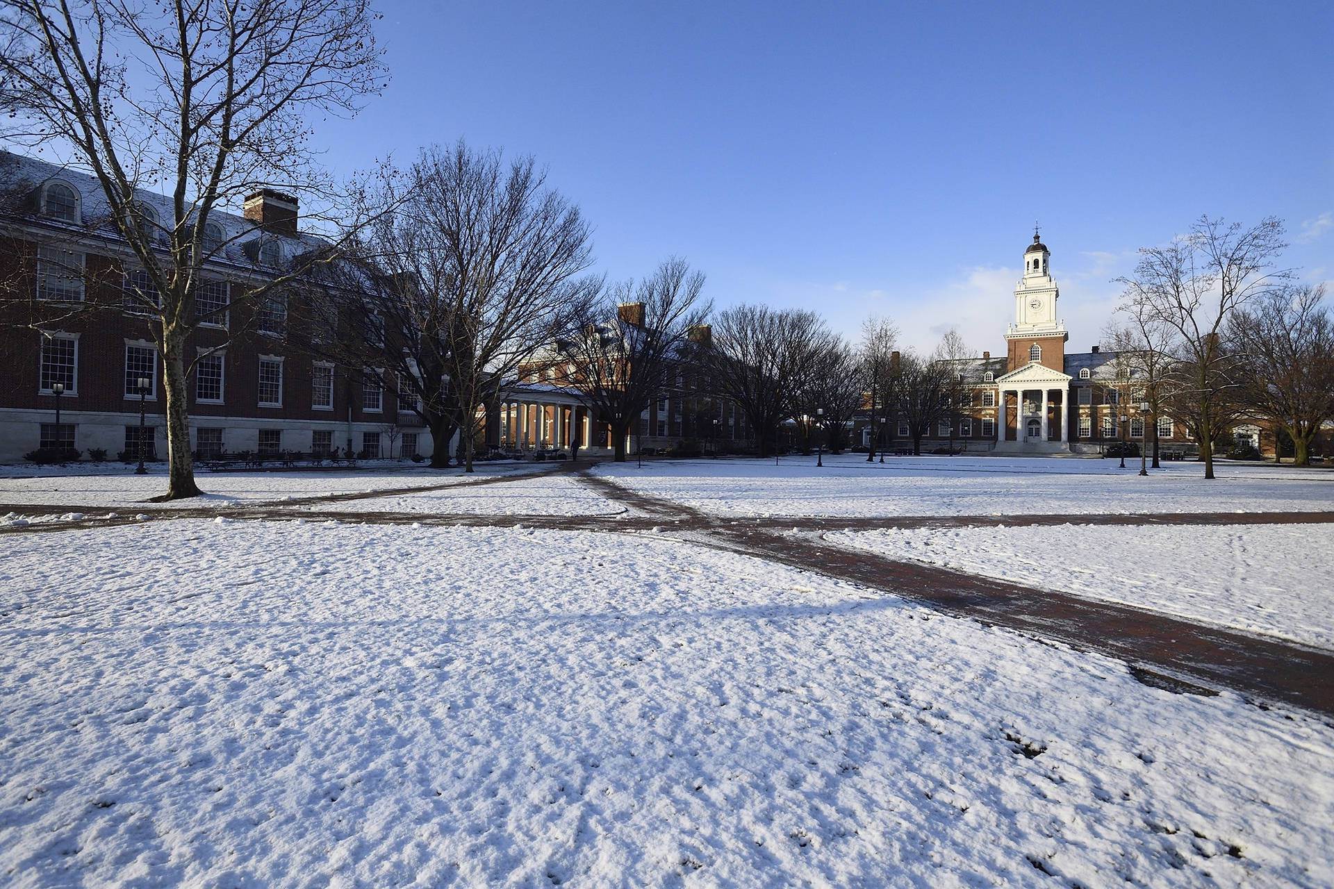 Adapting to cold climate abroad