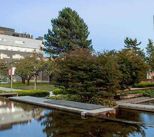 How is Langara College